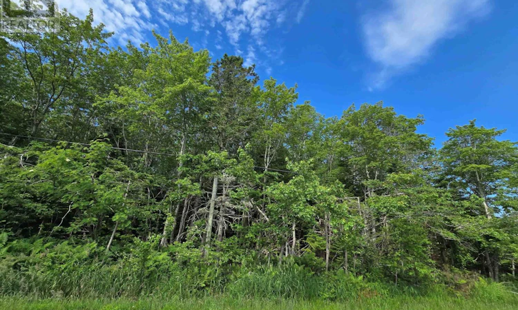 Lot Main Shore Road