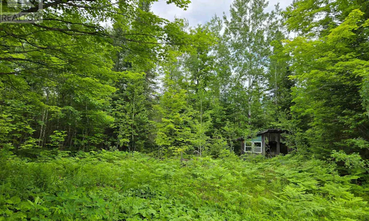 40 Marquardt Road