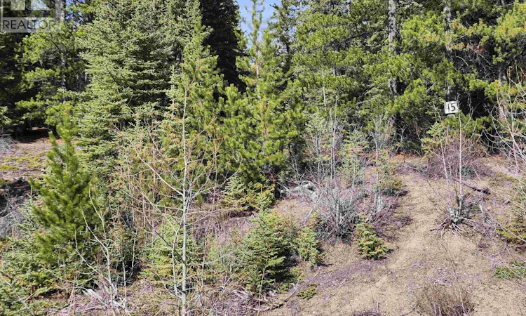 LOT-15 N Binta Main Forest Service Road