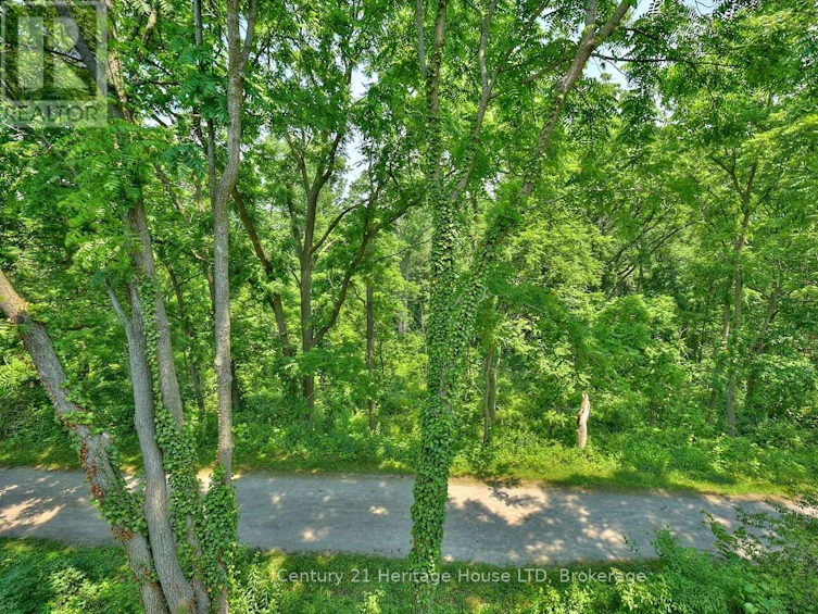 14 Tulip Tree Common, St. Catharines, ON, L2S 4C8 - 39