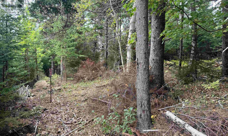 24-2 Forest Drive Extension