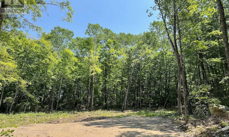 LOT-2 Lakewoods Drive
