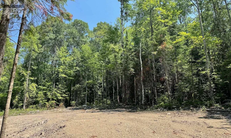 LOT-8 Lakewoods Drive