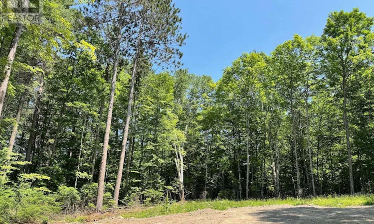 LOT-17 Lakewoods Drive