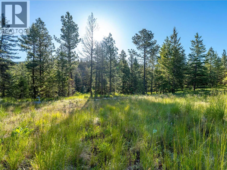 375 Grizzly Place, Osoyoos, BC, V0H 1V6 - 11