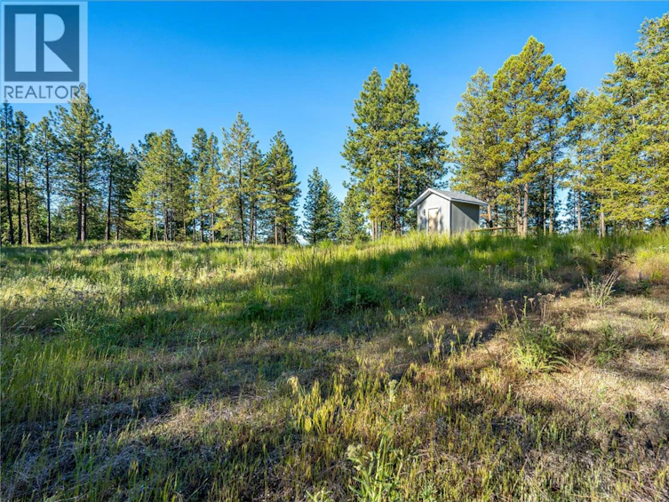 375 Grizzly Place, Osoyoos, BC, V0H 1V6 - 12