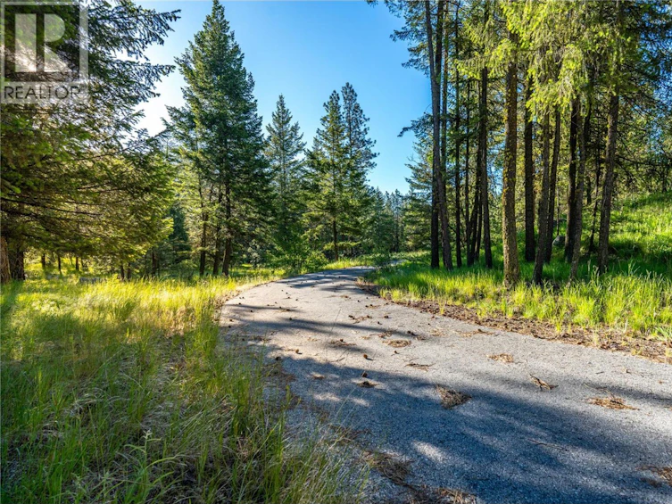 375 Grizzly Place, Osoyoos, BC, V0H 1V6 - 5