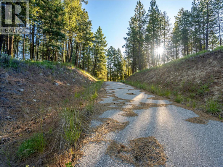 375 Grizzly Place, Osoyoos, BC, V0H 1V6 - 4
