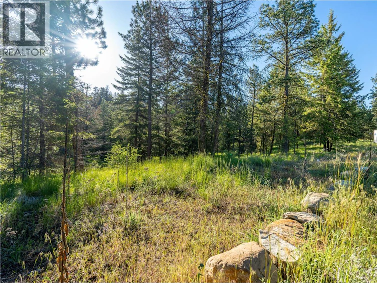 375 Grizzly Place, Osoyoos, BC, V0H 1V6 - 13