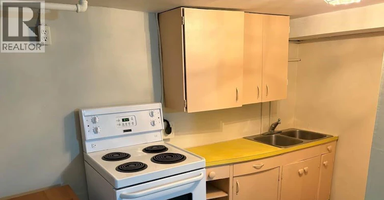 BASEMENT-739 Josephine, Windsor, ON, N9B 2L2 - 8