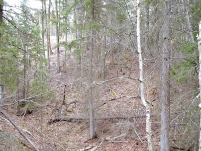 LOT-12 Summit Road - 2