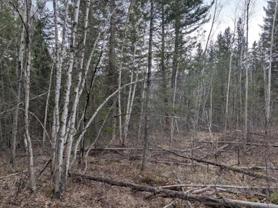 LOT-12 Summit Road - 4