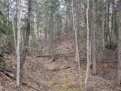 LOT-12 Summit Road - 3