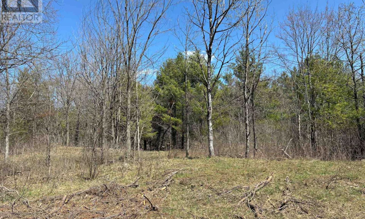 LOT-4 Leveque Road