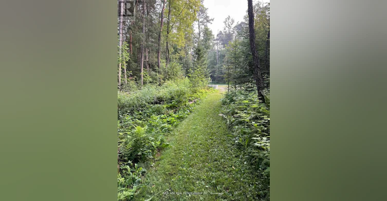 9031 Sideroad 17, Erin, ON, N0B 1Z0 - 10