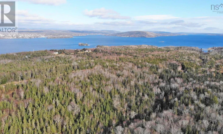46 Acres Washabuck Road
