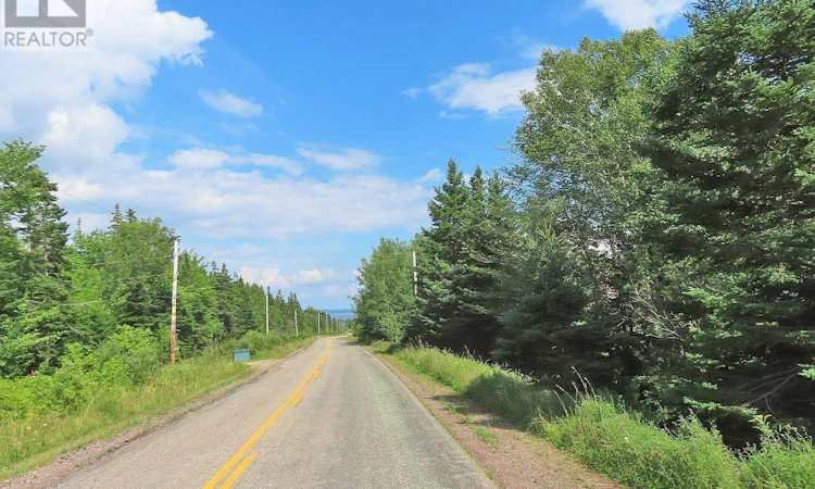 46 Acres Washabuck Road