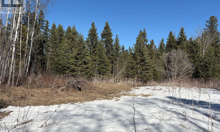 30 Acres Forest