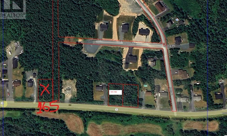165 Pouch Cove Highway