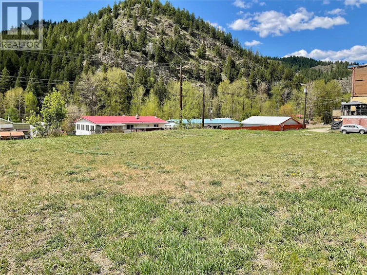 355 S Copper Avenue, Greenwood, BC, V0H 1J0 - 2