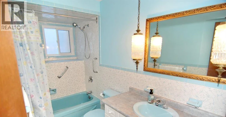 MAIN LEVEL-875 Parent, Windsor, ON, N9A 2C9 - 10
