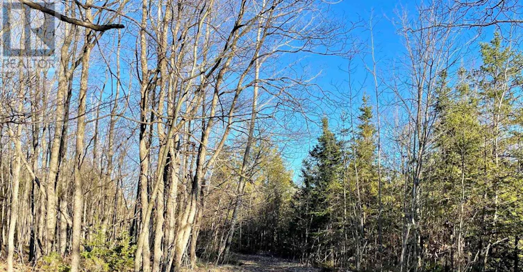 4265 Roger Stevens Drive, Ottawa, ON, K7A 4S6 - 43