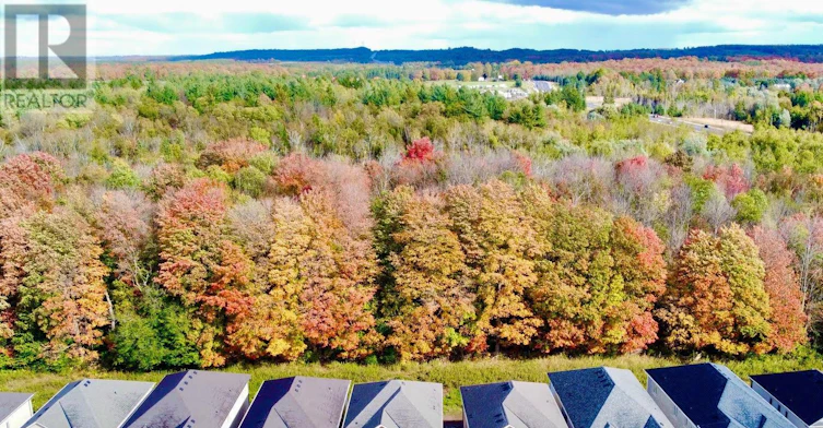 496 Black Cherry Crescent, Shelburne, ON, L9V 2Y6 - 24