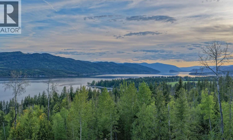Lot-9 Lonneke Trail