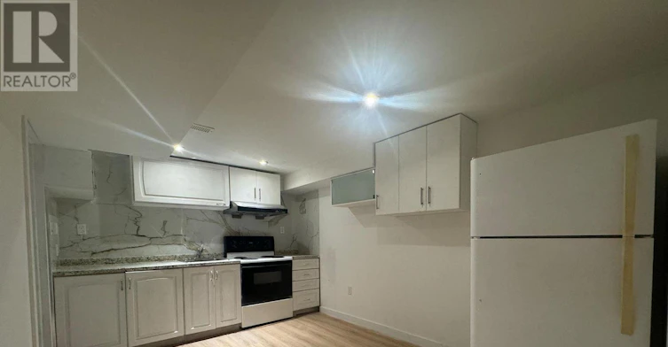 BASEMENT-210 Church Street, Georgina, ON, L4P 1J8 - 3