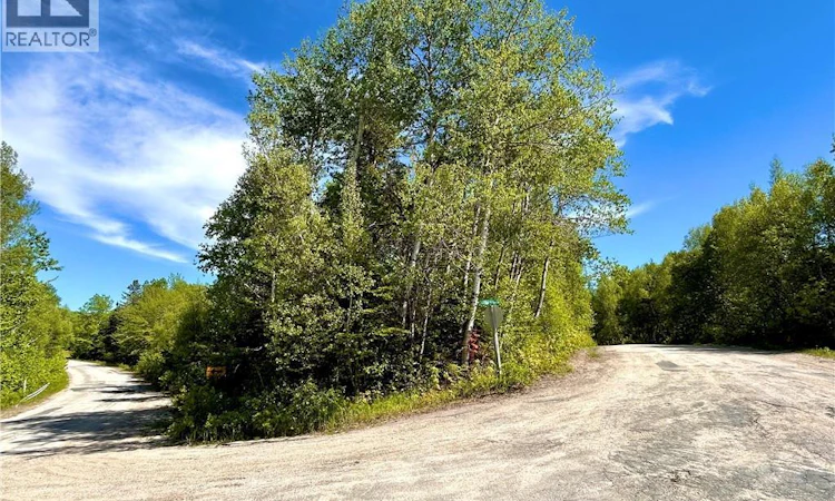 2-87 Acres Portage River Road