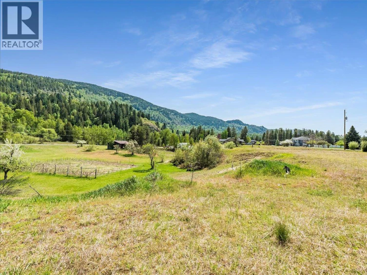 786 Prairie Road, Castlegar, BC, V1N 4K6 - 65