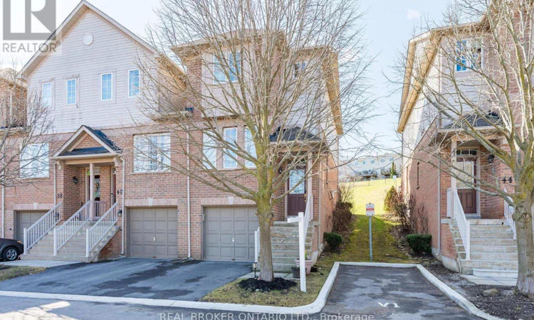 42-42 Palomino Trail
