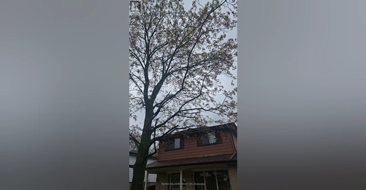 LOWER LEVEL-106 Springdale Crescent, Oshawa, ON, L1H 7C1 - 30