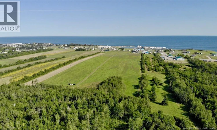 Lot-1 Bas Cap Pele
