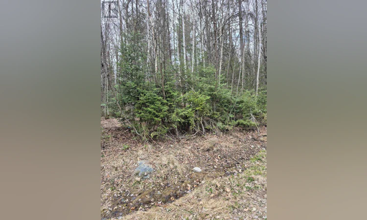 LOT-5 Arbutus Trail