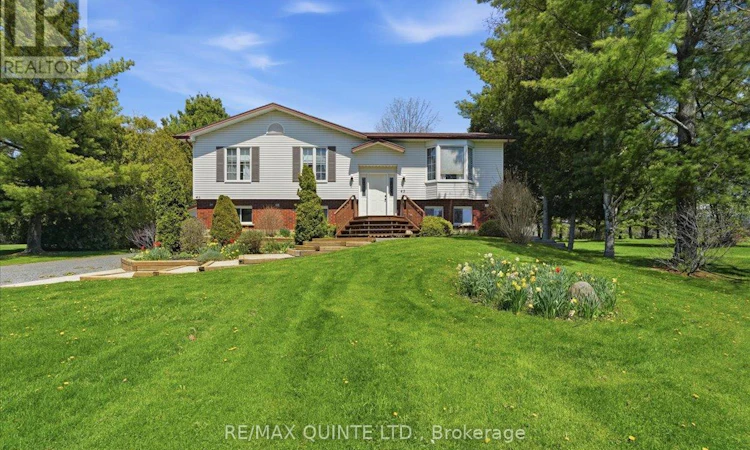 45 Shannon Road