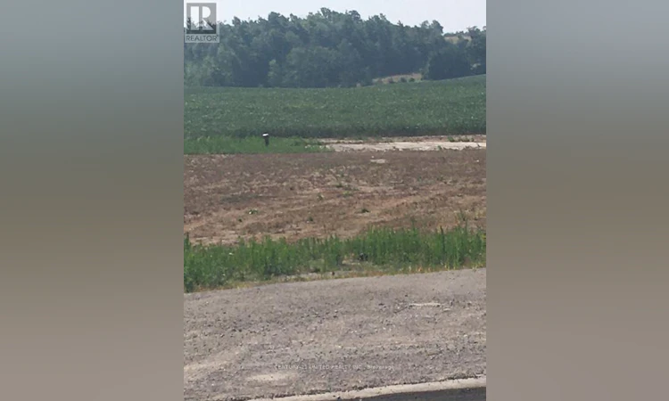 3151 County 2 Road