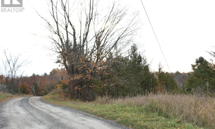 PT LT-5 Con 4 James Wilson Road