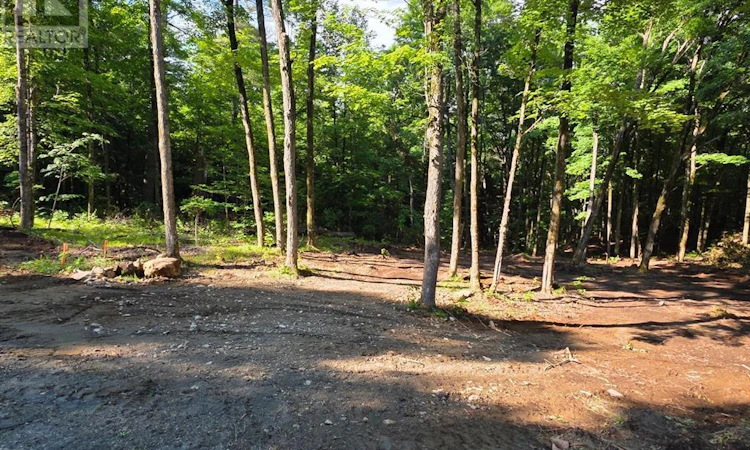 2456 Conc Dalhousie Concession