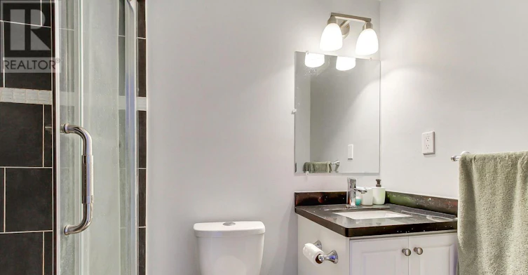 BASEMENT-2855 Morningside Avenue, Toronto, ON, M1X 2E4 - 19