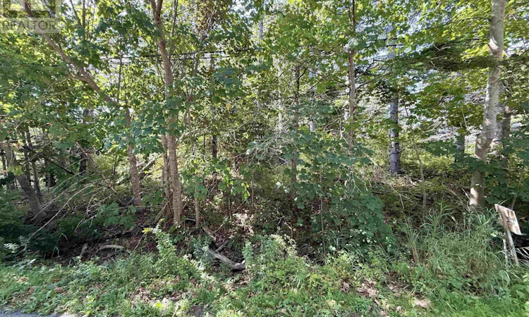 Lot-2 Green Bay Road