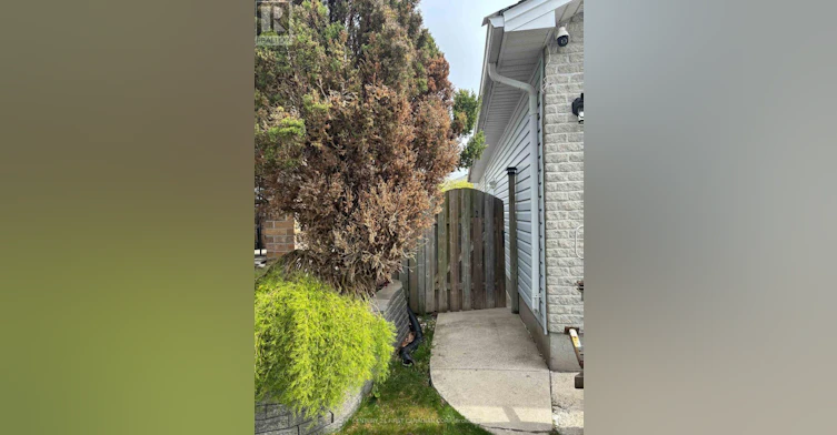 LOWER LEVEL-86 Loggers Grove, London, ON, N5W 6G5 - 22