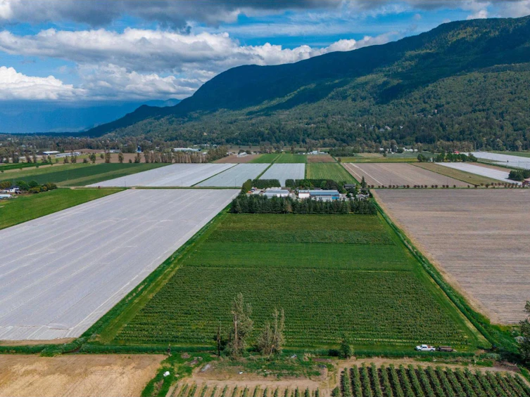 3387 Tolmie Road, Abbotsford, BC, V3G 2T9