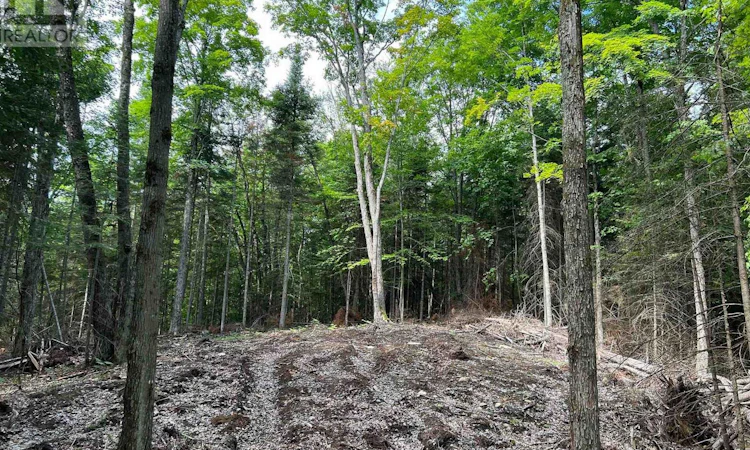 LOT-26 West Court