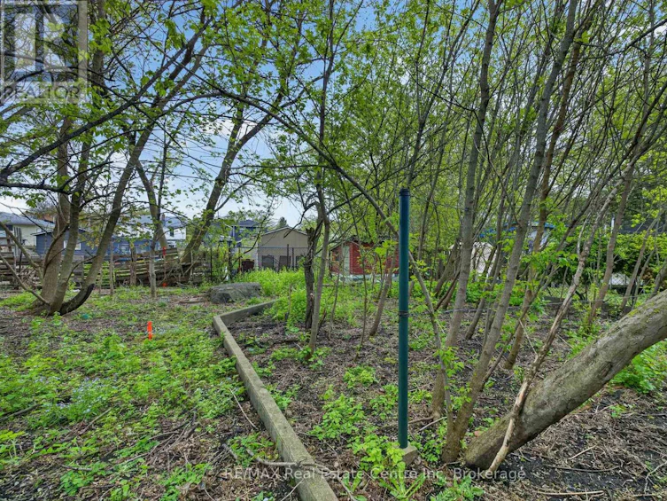 121 Elizabeth Street, Guelph, ON, N1E 2X4 - 12