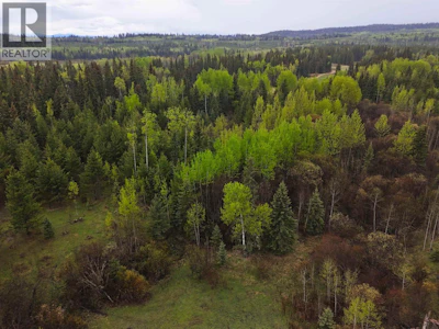 2954 Spout Lake Road - 5