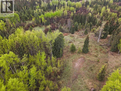 2954 Spout Lake Road - 3