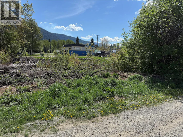Lot-B Sayward Avenue, Salmo, BC, V0G 1Z0 - 8