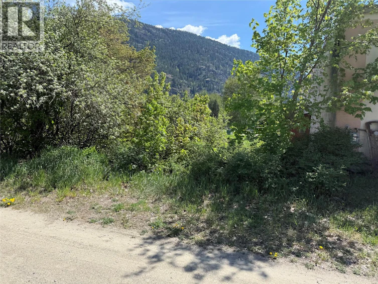 Lot-A Sayward Avenue, Salmo, BC, V0G 1Z0 - 7