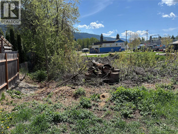 Lot-A Sayward Avenue, Salmo, BC, V0G 1Z0 - 9
